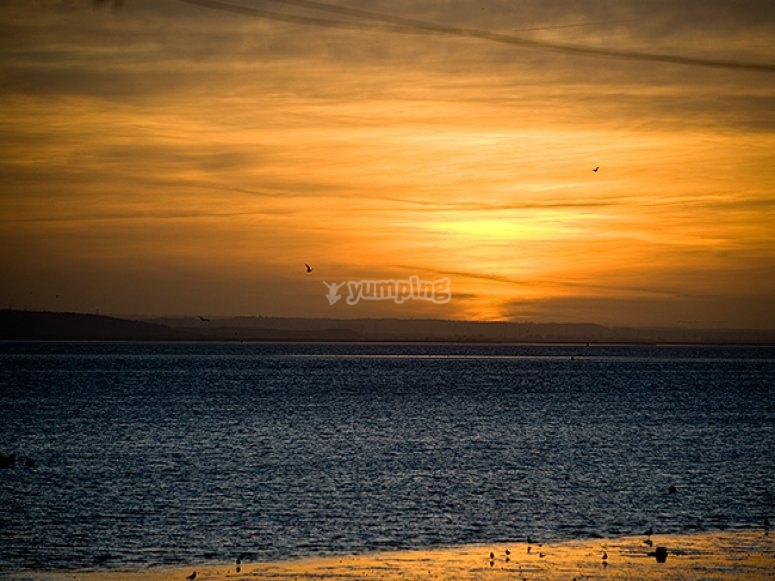 The Ray, Essex The Ray, Essex
